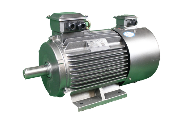 380V IP55 Class F IM B3 Variable Frequency Motor IEC 60034-30