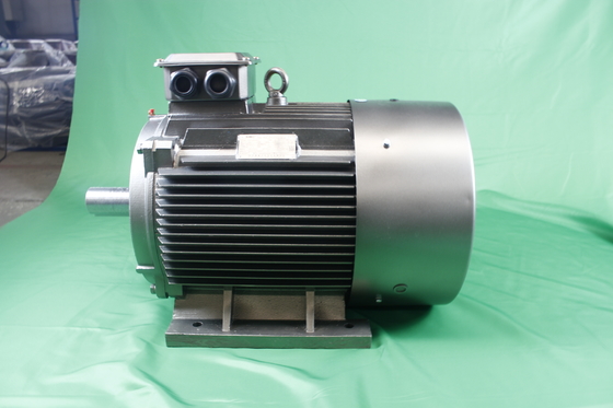 YE3-250M-6-37-380V-IP55-Class F-IM B3 3 Phase Asynchronous Motor LV Variable Frequency
